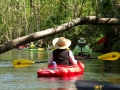 Kayaking Silver Springs