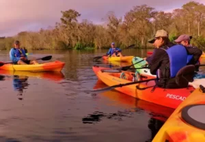 Manatee Kayaking Tours Blue Springs