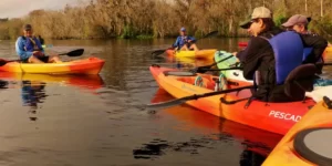 manatee kayaking tours blue springs state park