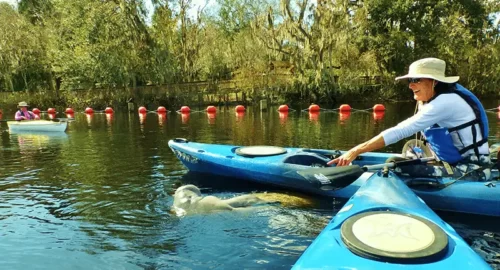 kayaking tours Orlando