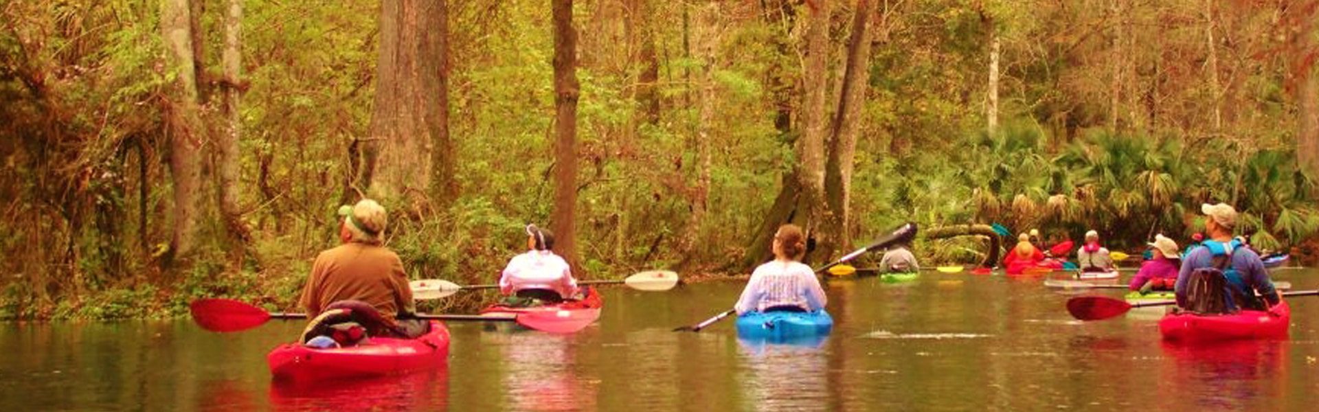 Kayaking Tours Orlando | Manatee Kayak Tours & Wildlife Adventures