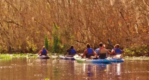 Kayak Florida Tours