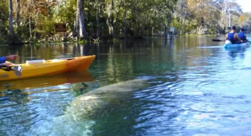 Orlando Kayaking Tours