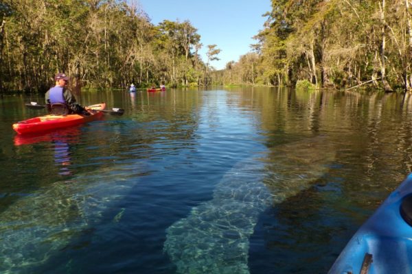 Florida Kayak Tours