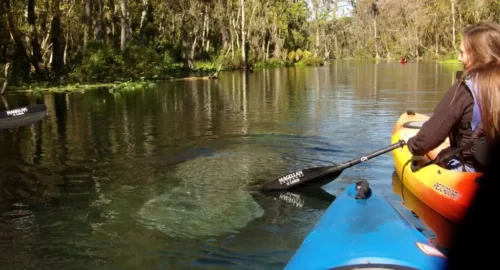 kayaking Orlando