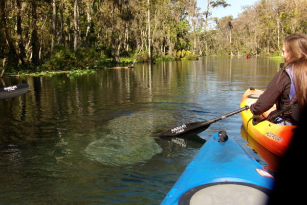 kayaking Orlando