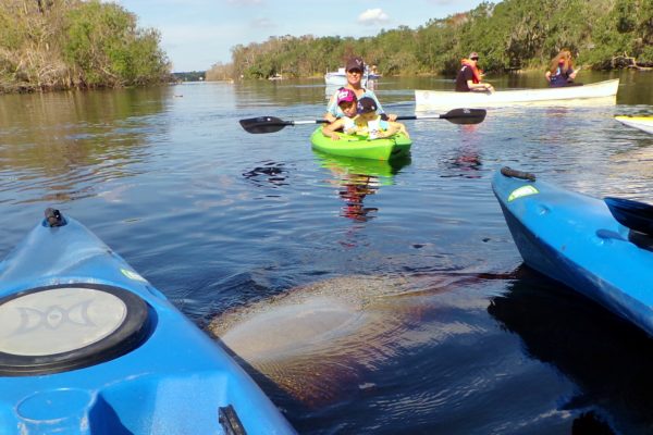 Florida kayak Tours