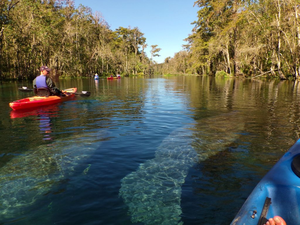 kayaking silver springs Florida Kayaking Tours