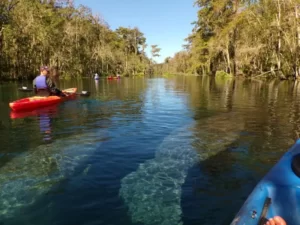 silver springs kayaking