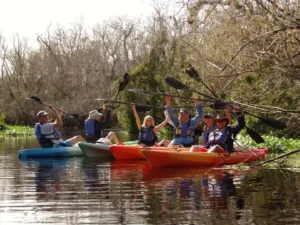 manatee kayak tours blue springs