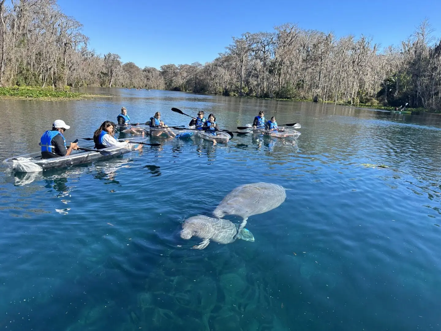 Silvere Springs Kayaking