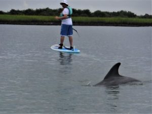 Paddle Board St Augustine
