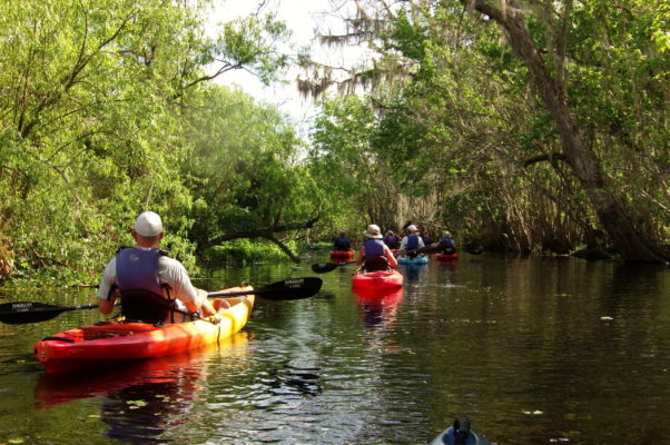 Florida Kayaking Tours