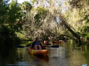 silver springs kayaking tours