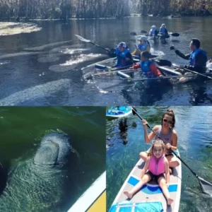 Silver Springs Clear Kayaking