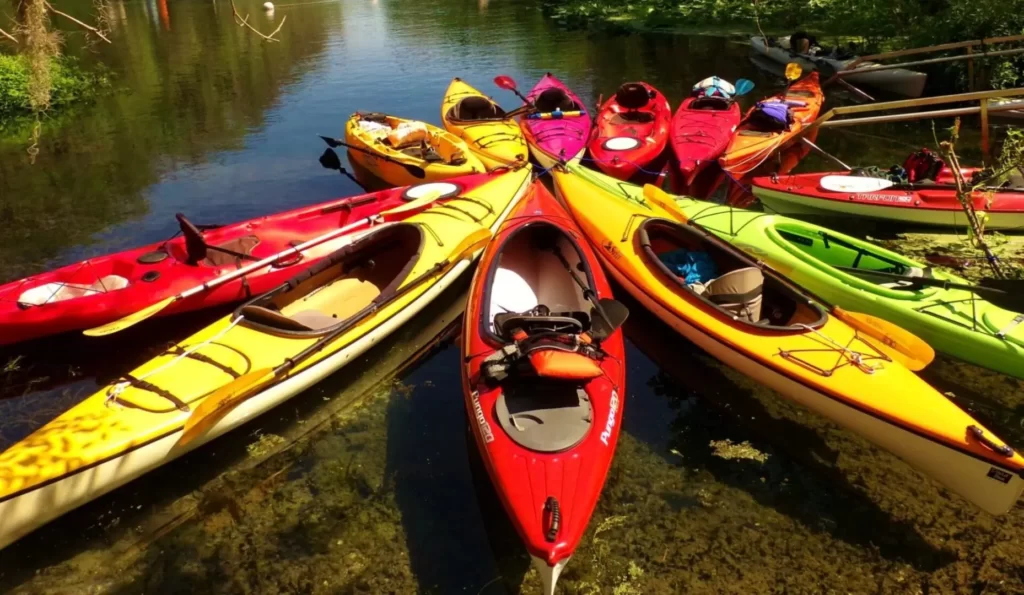 Kayak Rentals Silver Springs