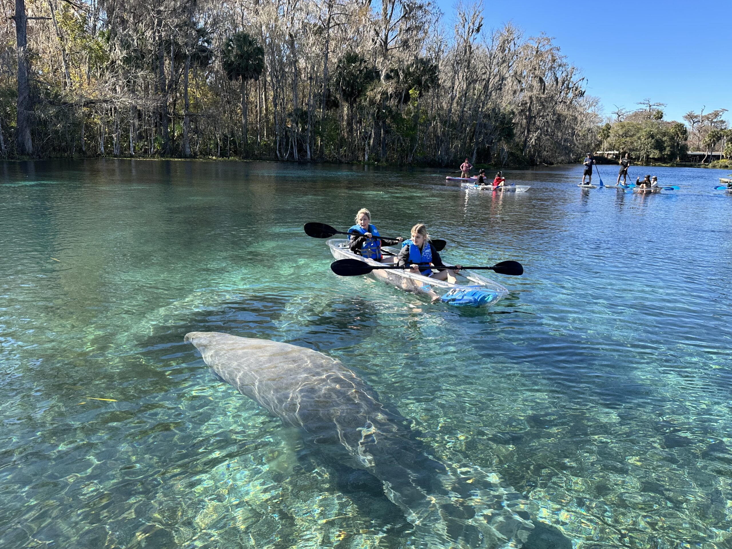 Orlando Clear Kayak Tours