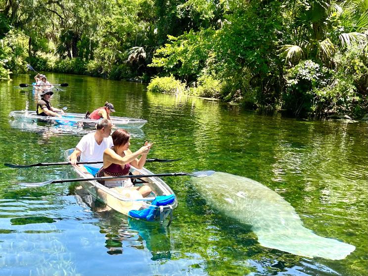 Kayak-Florida-Manatee-Adventures-Clear-Kayak (1)