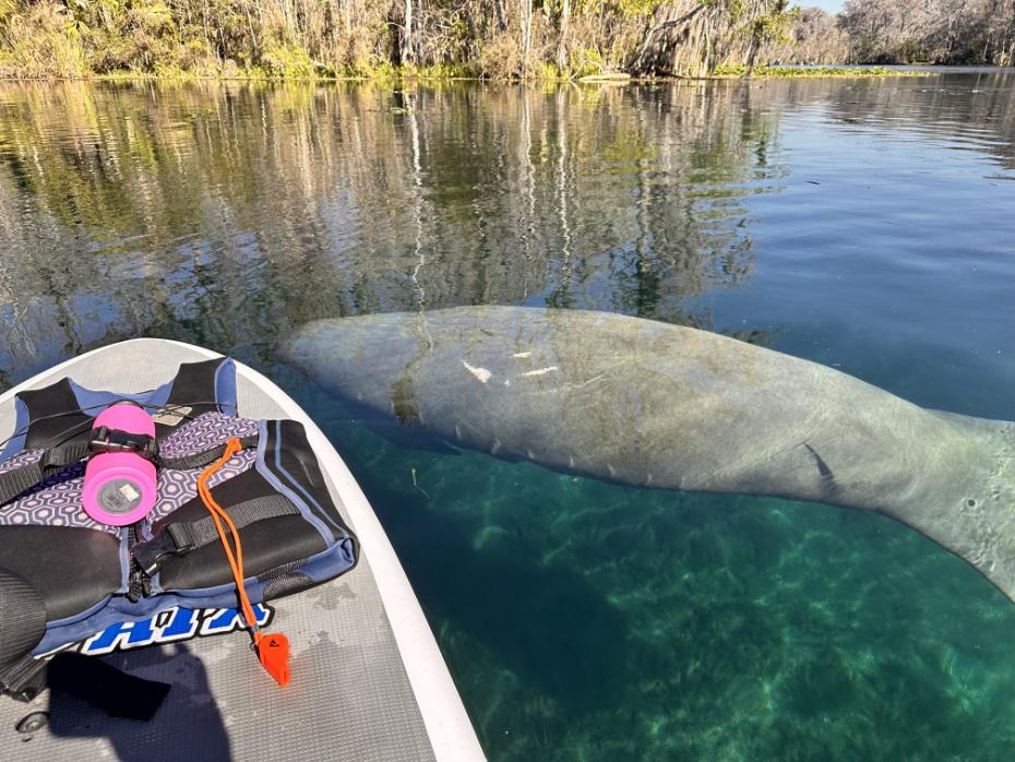 Silver Springs Kayaking