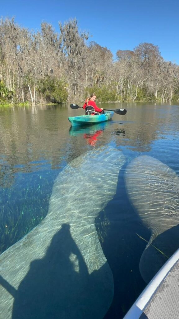 Kayak Florida - Manatee Adventures - Clear Kayak (9)