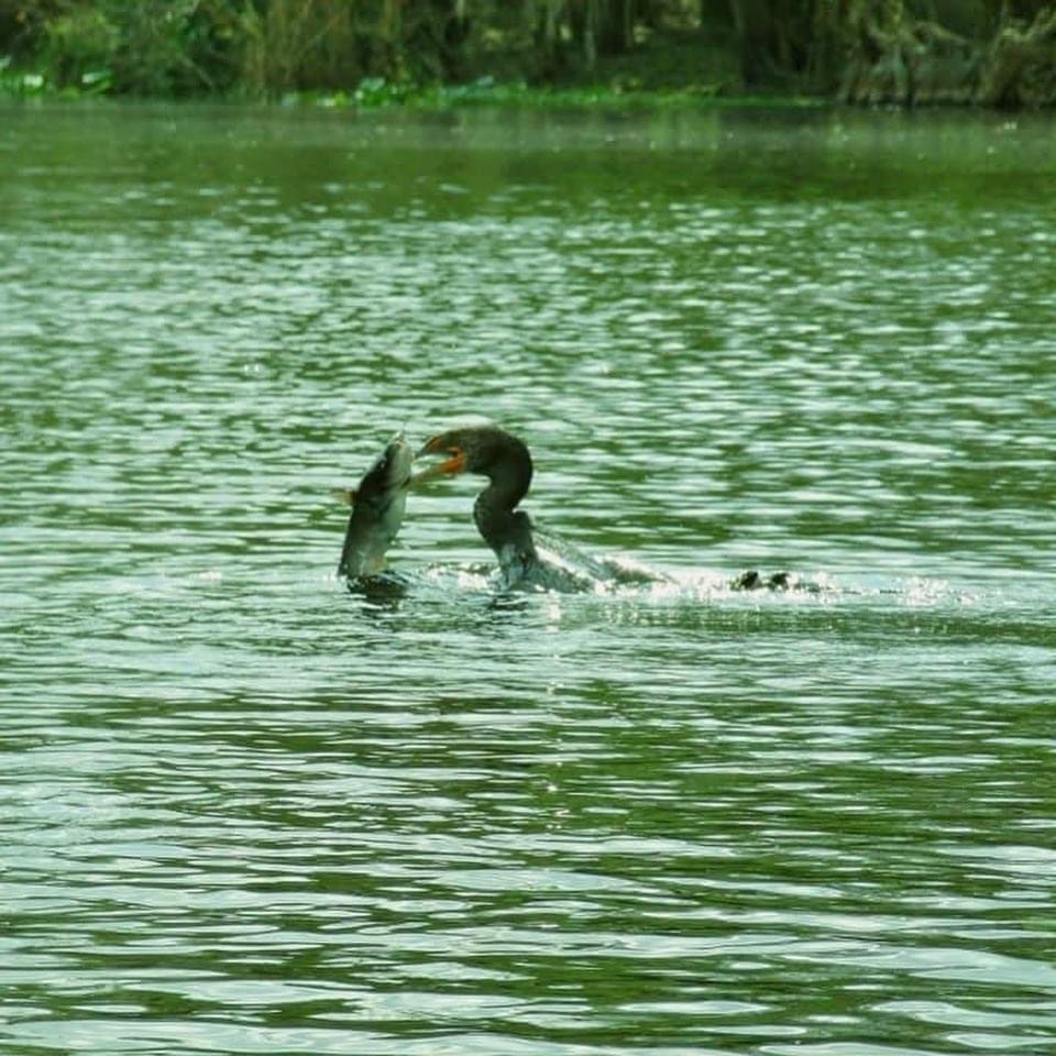 Orlando Kayaking